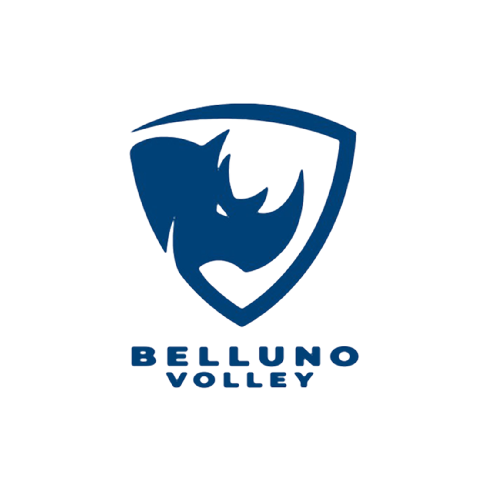 Volley Belluno